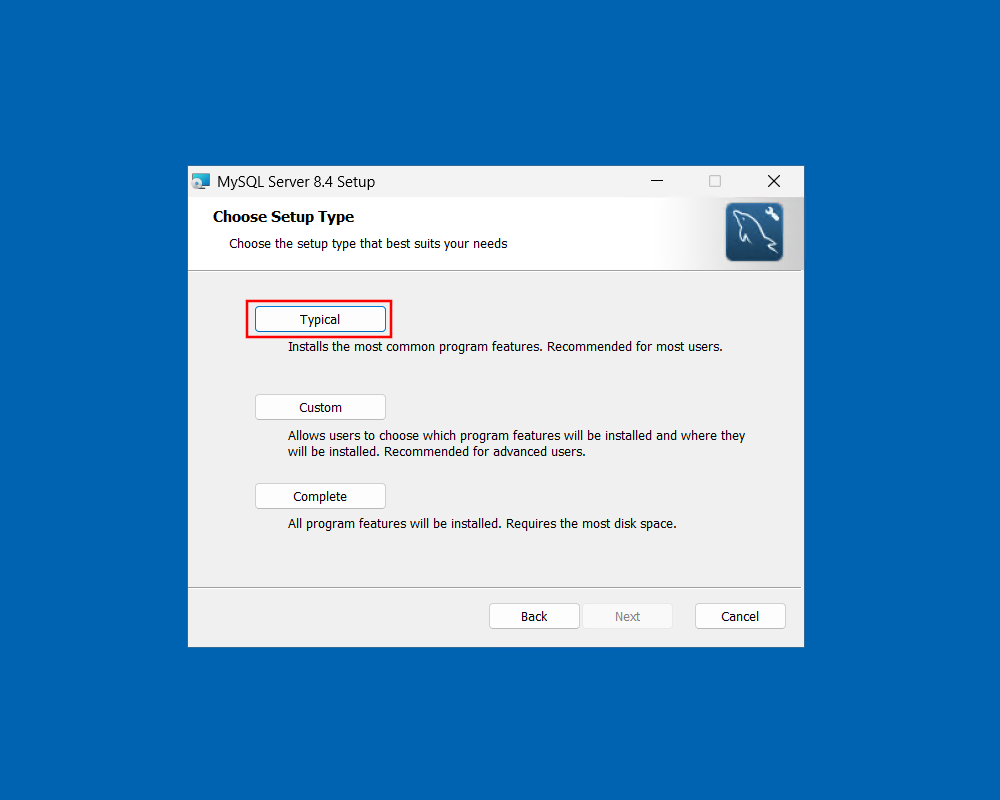 setup-mysql-setuptype.png